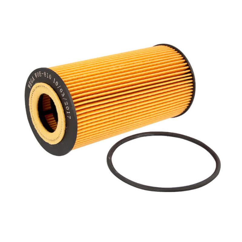 Kit Filtro e 6L Óleo Motor 5W30 GTX - Castrol / Wega - 3435995 / WOE-810 - (8)