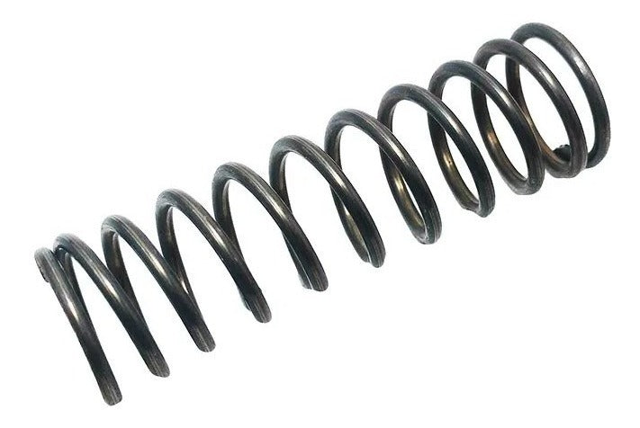 Mola da Tulipa do Câmbio - Amortex - 34832 - (1)