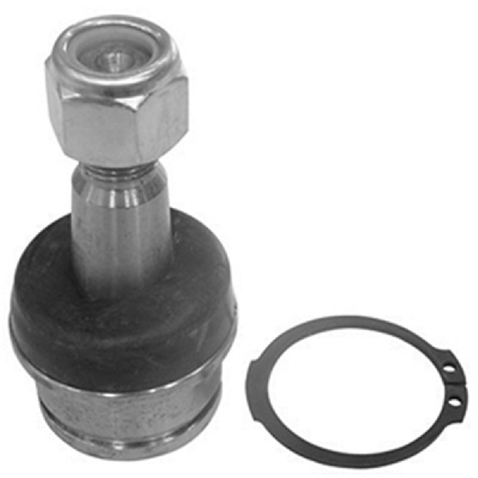 Pivô da Suspensão - Amortex - 53067 - (1)