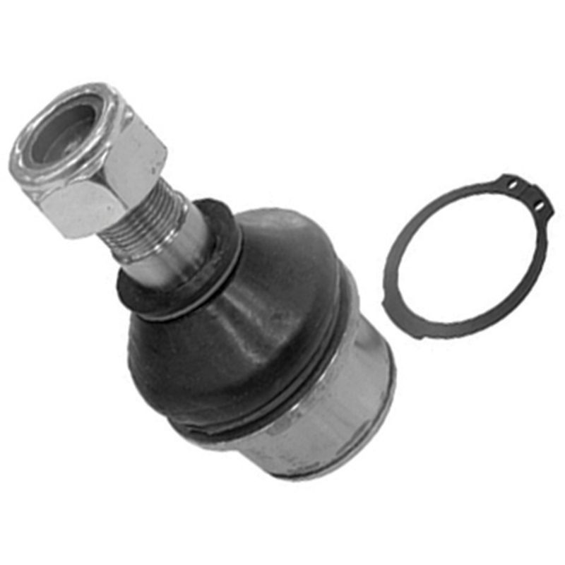 Pivô da Suspensão - Amortex - 53095 - (1)