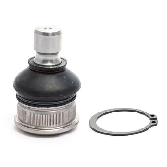 Pivô da Suspensão - Amortex - 53151 - (1)