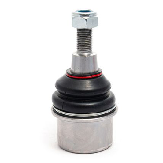 Pivô DA Suspensão - Amortex - 53281 - (1)