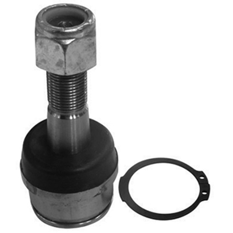 Pivô DA Suspensão - Amortex - 53084 - (1)