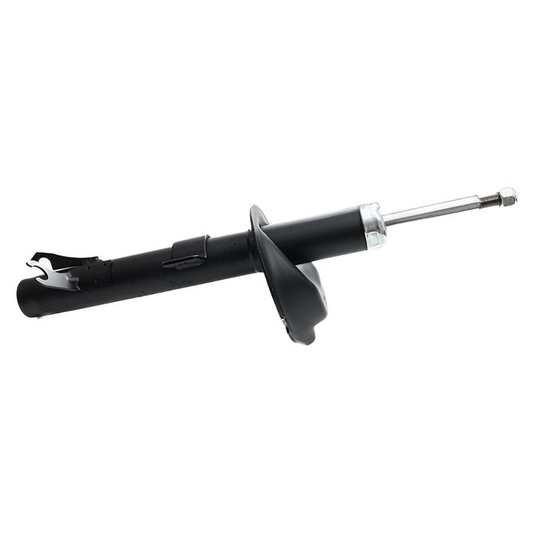 Amortecedor - Amortex - 76541 - (1)