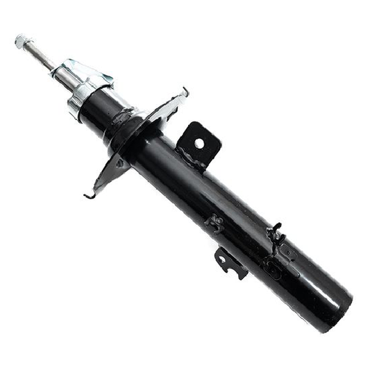 Amortecedor - Amortex - 78173 - (1)