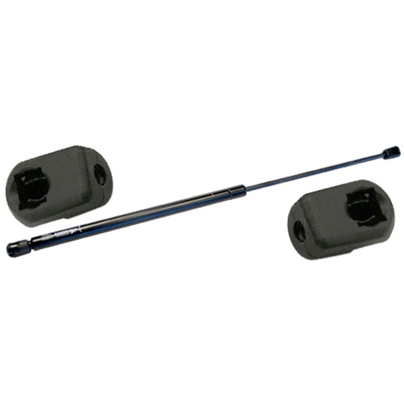 Amortecedor DA Tampa do Motor - Amortex - 99695 - (1)