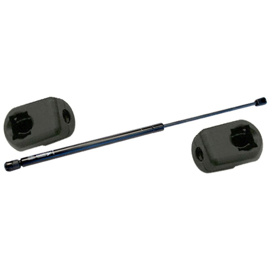 Amortecedor DA Tampa do Motor - Amortex - 99695 - (1)