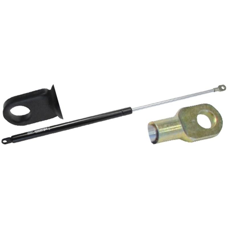 Amortecedor do Capô - Amortex - 99872 - (1)