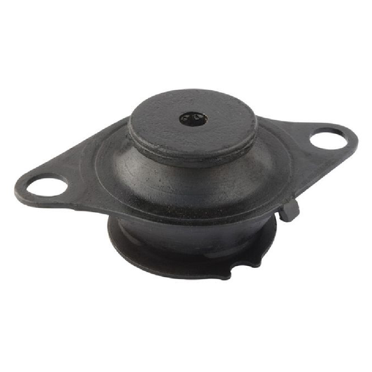 Coxim do Motor - Amortex - 57141 - (1)