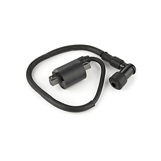 Bobina De Ignição - Gauss - GM12028 - (1)