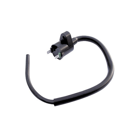 Bobina de Ignição - Gauss - GM12013 - (1)