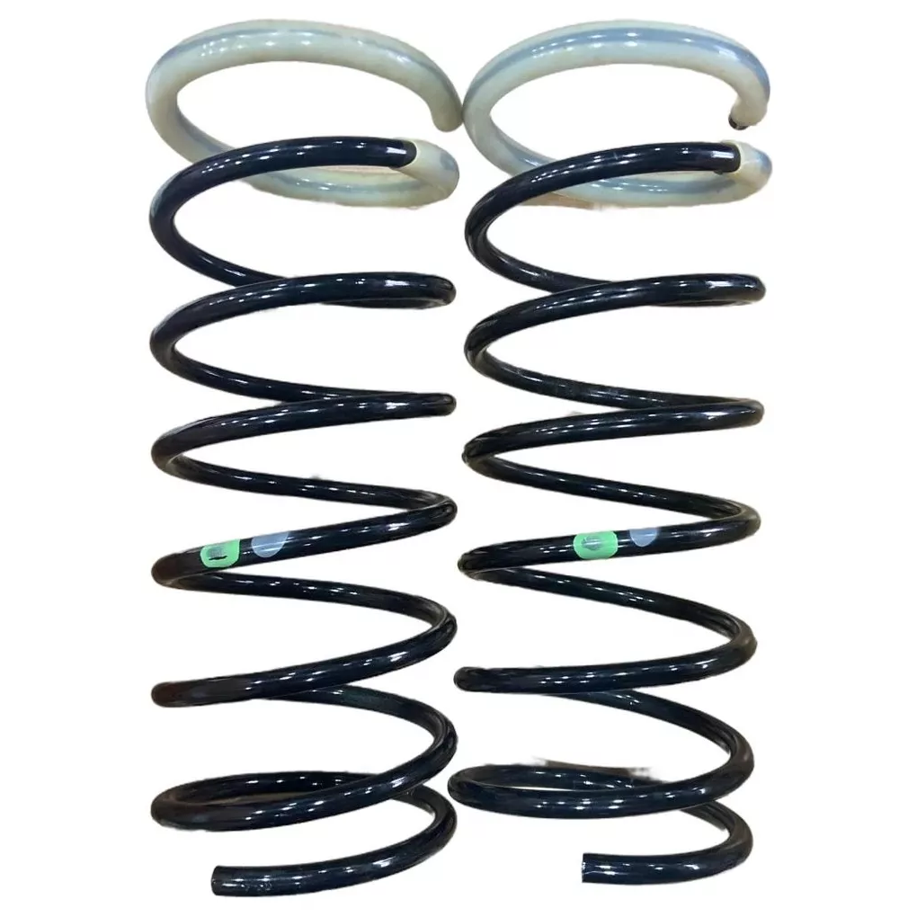 Par Molas Traseiras - Fabrini - I-FO0057-M - (1)