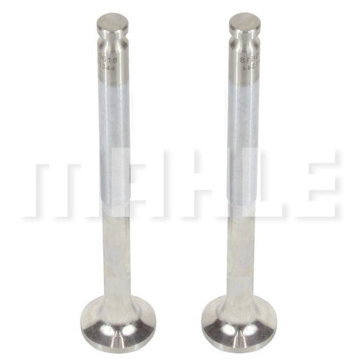 Par de Válvula Comum de Admissão e Escape Std - Mahle Metal Leve - VC0481344 STD - (1)