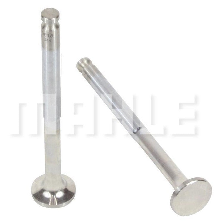 Par de Válvula Comum de Admissão e Escape Std - Mahle Metal Leve - VC0481344 STD - (2)