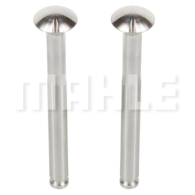 Par de Válvula Comum de Admissão e Escape Std - Mahle Metal Leve - VC0481565 STD - (1)