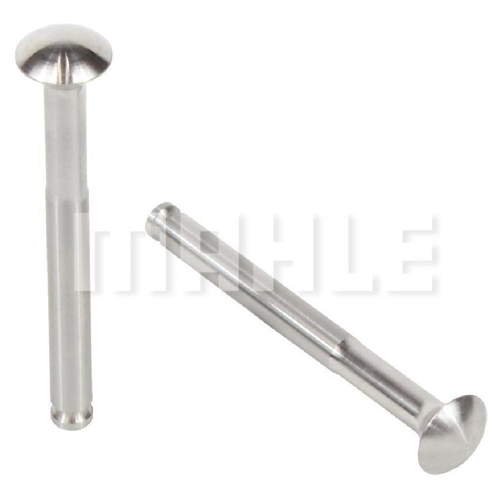 Par de Válvula Comum de Admissão e Escape Std - Mahle Metal Leve - VC0481565 STD - (2)