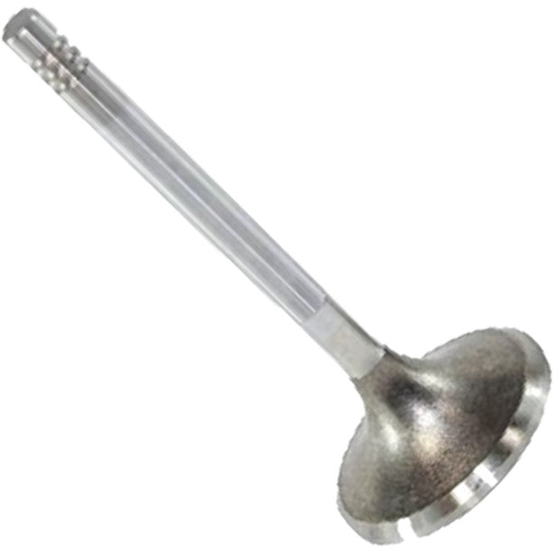 Válvula de Escape - Mahle Metal Leve - VE0130278 STD - (3)
