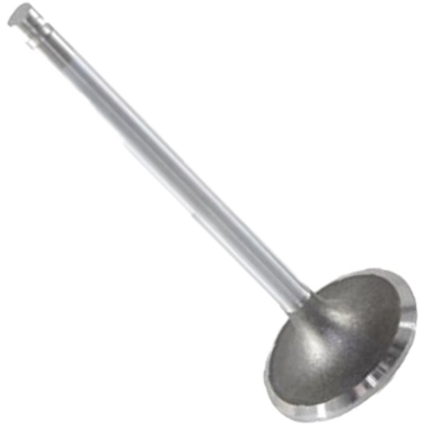 Válvula de Escape - Mahle Metal Leve - VE0210150 STD - (3)