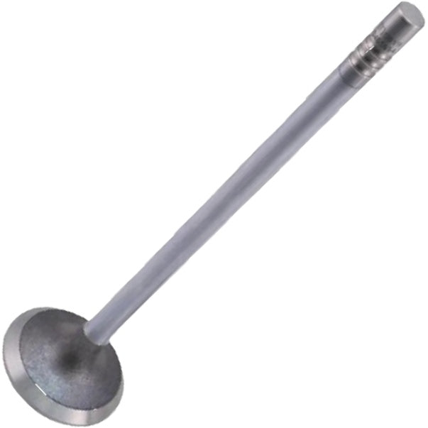 Válvula de Escape - Mahle Metal Leve - VE0461694 STD - (2)