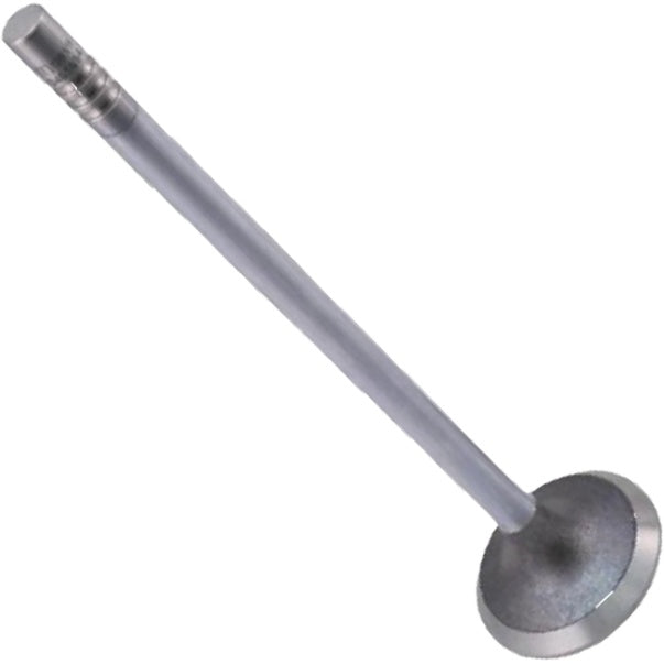 Válvula de Escape - Mahle Metal Leve - VE0461694 STD - (3)