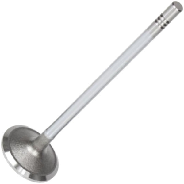 Válvula de Admissão - Mahle Metal Leve - VA0011467 STD - (2)