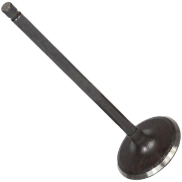 Válvula de Admissão - Mahle Metal Leve - VA0031604 STD - (3)