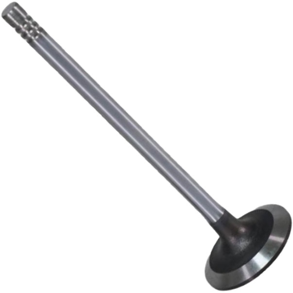 Jogo com 8 Válvulas de Admissão - Mahle Metal Leve - VA0131750 STD - (4)