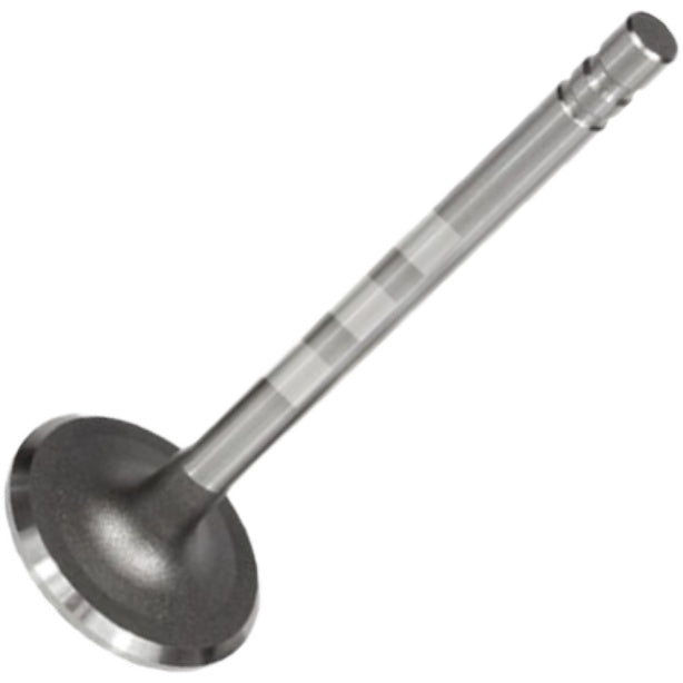 Jogo com 4 Válvulas de Admissão - Mahle Metal Leve - VA0140104 STD - (3)