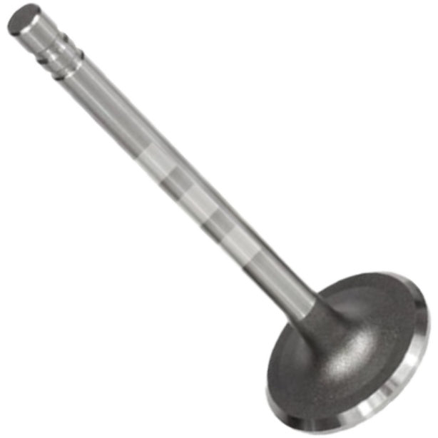 Jogo com 4 Válvulas de Admissão - Mahle Metal Leve - VA0140104 STD - (4)
