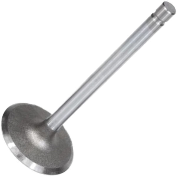 Jogo com 6 Válvulas de Admissão - Mahle Metal Leve - VA0140183 STD - (3)