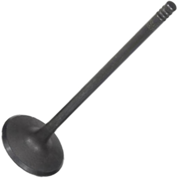 Válvula de Admissão - Mahle Metal Leve - VA0141579 STD - (2)