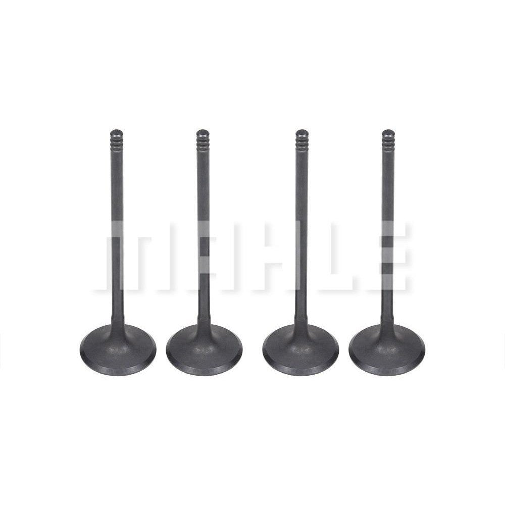 Jogo com 8 Válvulas de Admissão - Mahle Metal Leve - VA0141581 STD - (2)