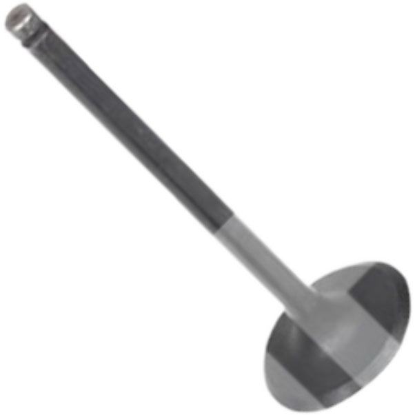 Válvula de Admissão - Mahle Metal Leve - VA0181703 STD - (3)