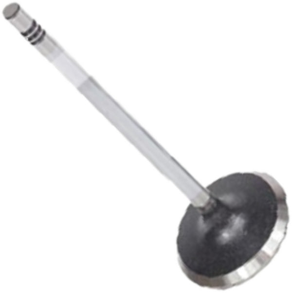 Jogo com 4 Válvulas de Admissão - Mahle Metal Leve - VA0251614 STD - (4)