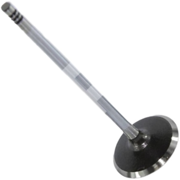 Válvula de Admissão - Mahle Metal Leve - VA0251632 STD - (3)