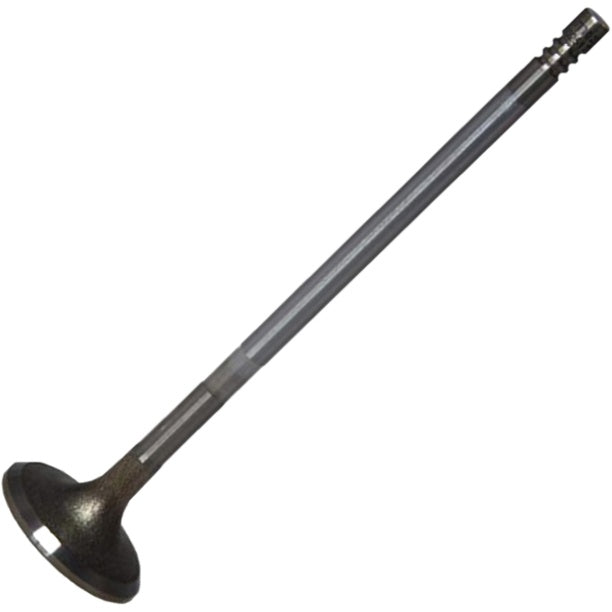 Válvula de Admissão - Mahle Metal Leve - VA0251777 STD - (2)