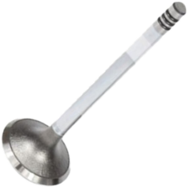 Válvula de Admissão - Mahle Metal Leve - VA0440569 STD - (2)