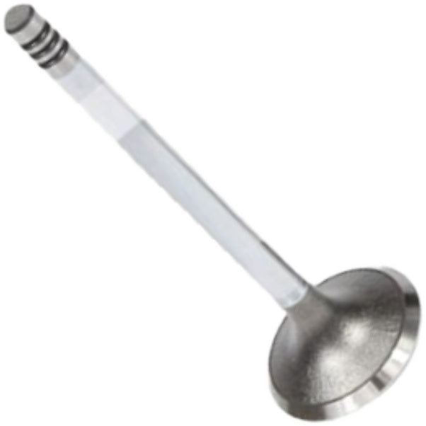 Válvula de Admissão - Mahle Metal Leve - VA0440569 STD - (3)