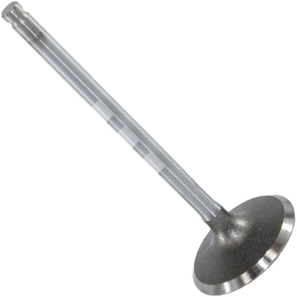 Válvula de Admissão - Mahle Metal Leve - VA0510070 STD - (3)
