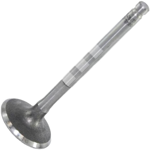 Válvula de Admissão - Mahle Metal Leve - VA0510126 STD - (2)