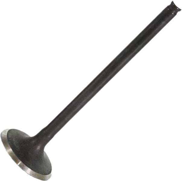 Jogo com 2 Válvulas de Admissão - Mahle Metal Leve - VA0511744 STD - (3)