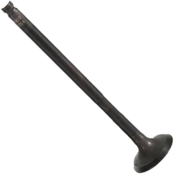 Válvula de Admissão - Mahle Metal Leve - VA0521754 STD - (3)