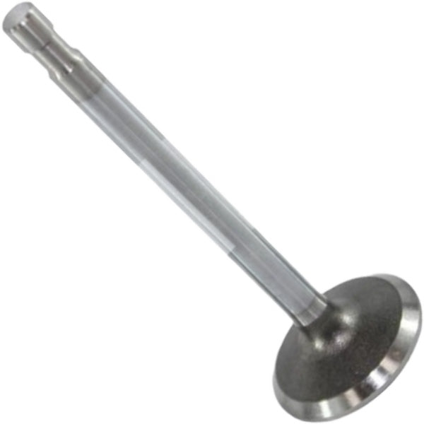Válvula de Admissão - Mahle Metal Leve - VA0590043 STD - (3)