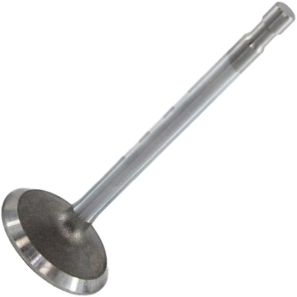Válvula de Admissão - Mahle Metal Leve - VA0590044 STD - (2)