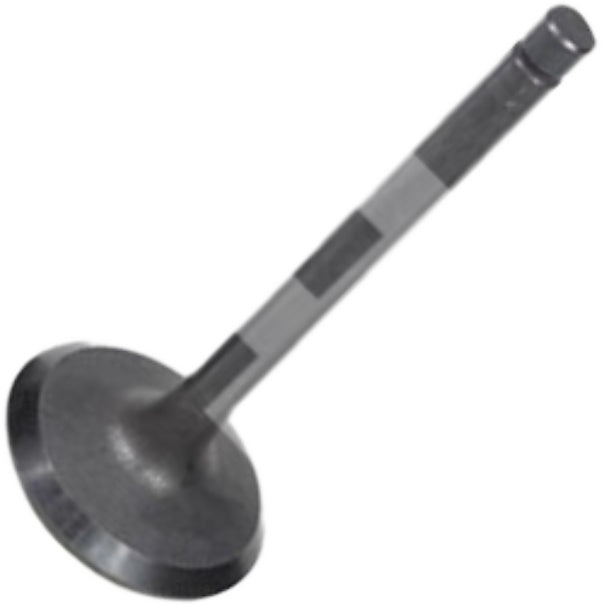 Válvula de Admissão para Toyota Hilux e Hilux SW4 - Mahle Metal Leve - VA0630240 STD - (2)