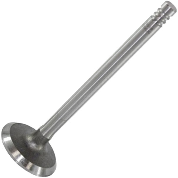 Válvula de Admissão - Mahle Metal Leve - VA0700020 STD - (2)