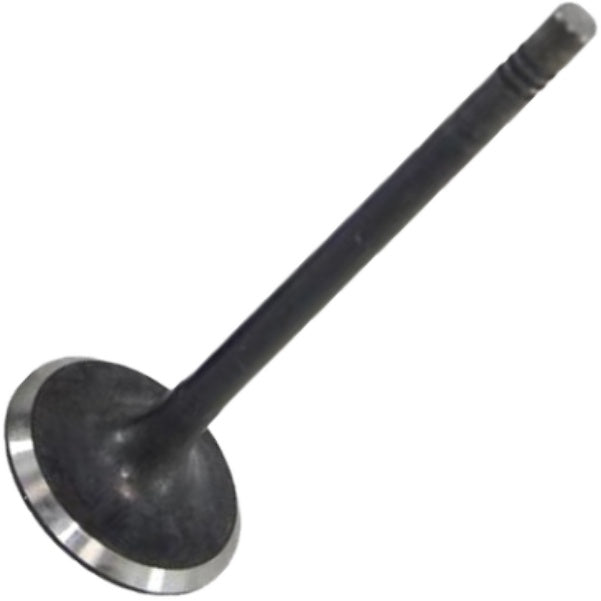 Válvula de Admissão - Mahle Metal Leve - VA0700267 STD - (2)