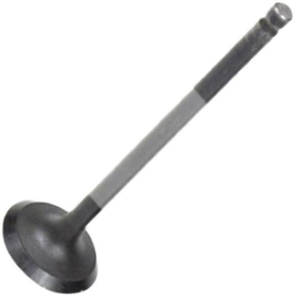 Válvula de Admissão - Mahle Metal Leve - VA1950236 STD - (2)