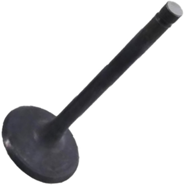 Válvula de Admissão para KIA Besta - Mahle Metal Leve - VA2110187 STD - (2)