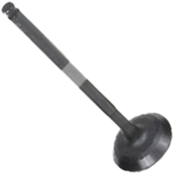 Válvula de Admissão para Chery QQ - Mahle Metal Leve - VA3481577 STD - (3)